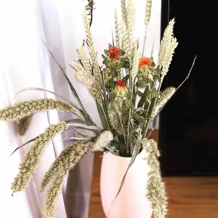 Joffre Beautiful In The Center Apartmán *