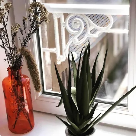 Joffre Beautiful In The Center Apartmán