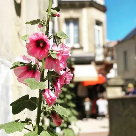 Joffre Beautiful In The Center Apartmán Arromanches-les-Bains