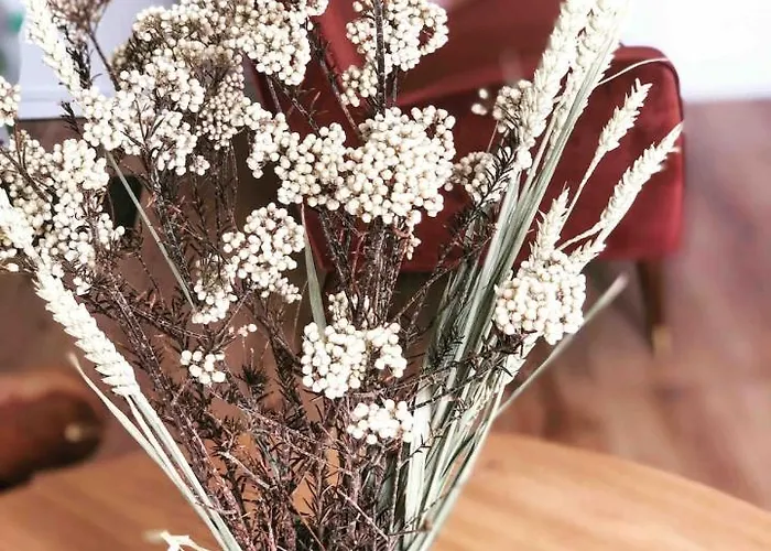 Joffre Beautiful In The Center *