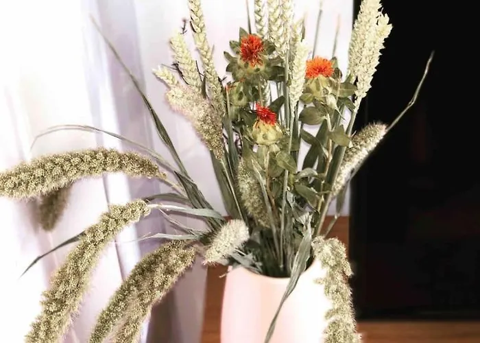 Joffre Beautiful In The Center Lejlighed *