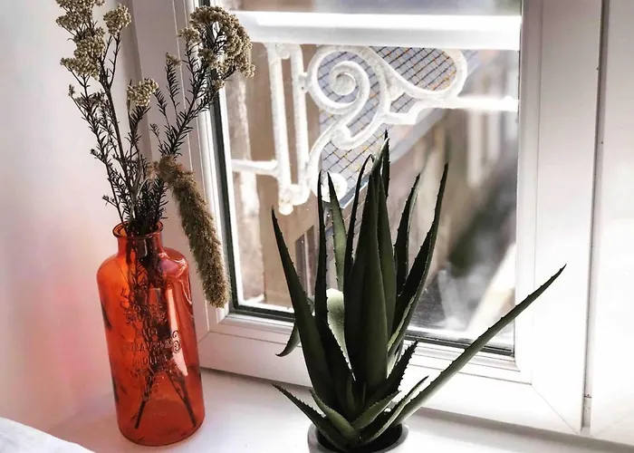 Joffre Beautiful In The Center Lejlighed