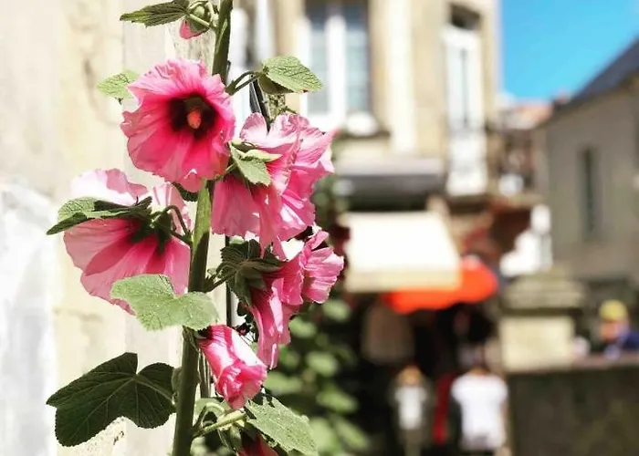 Joffre Beautiful In The Center Appartamento Arromanches-les-Bains